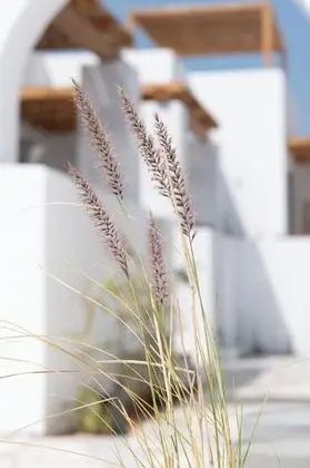 Kosmitis Residence - Dış Mekan