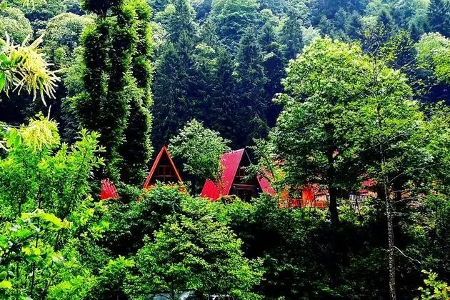 Kotit Ayder Bungalov & Restaurant - Genel