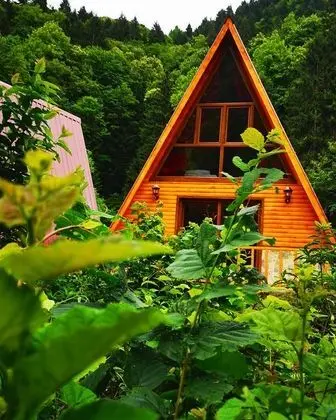 Kotit Ayder Bungalov & Restaurant - Genel