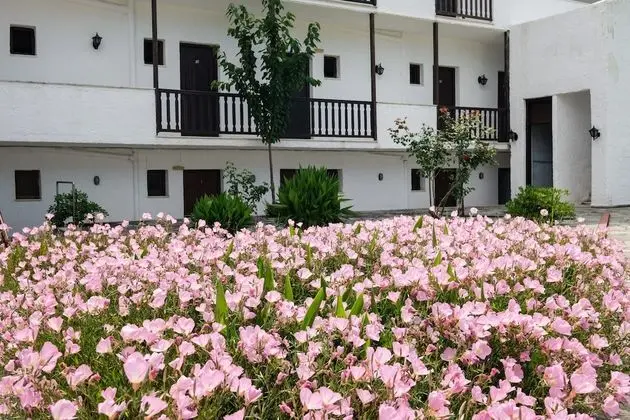 Koukounaries Beach Hotel - Dış Mekan