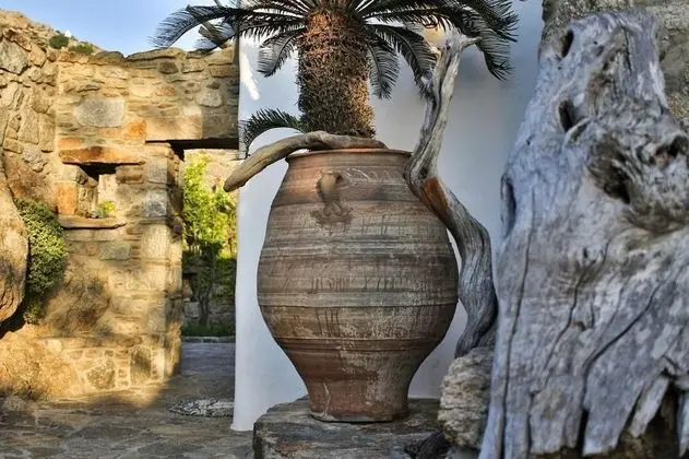 Villa Kounoupas - Dış Mekan
