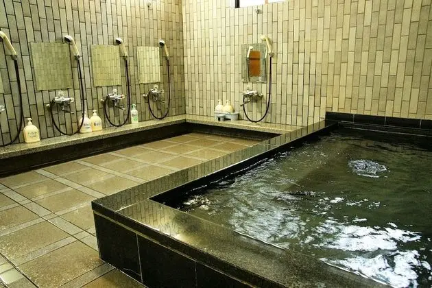 Koyasan Syukubo Ekoin - Spa