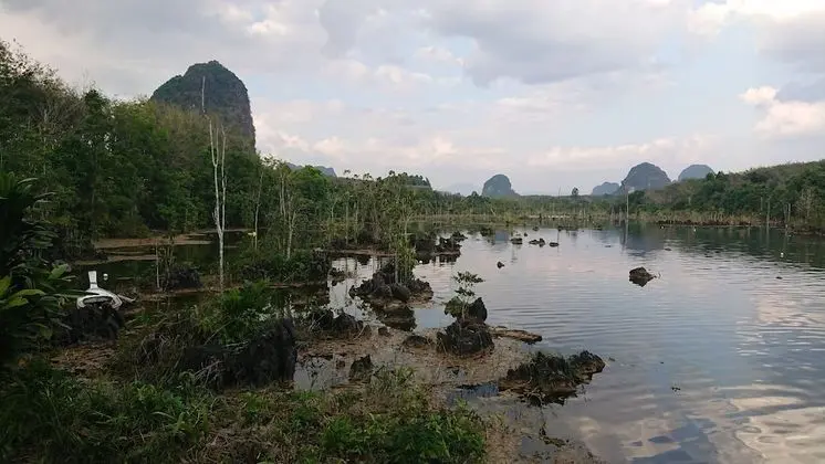 The Krabi Forest Homestay