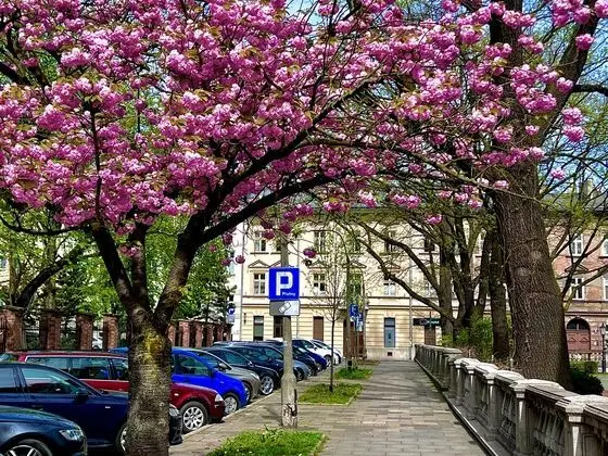 Krakow Central Apartments - Dış Mekan