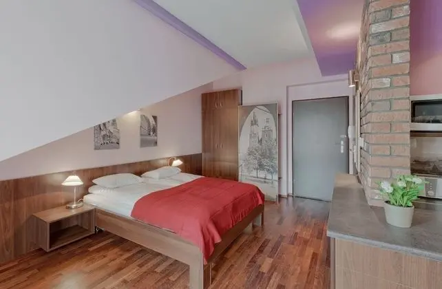 KrakowRentals-Beauty of Krakow Studio - Oda