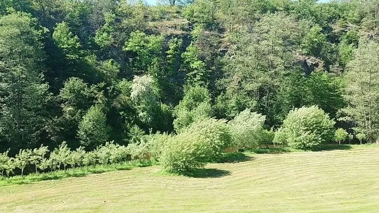 Kratochviluv Mlyn Hotel - Oda Manzaraları