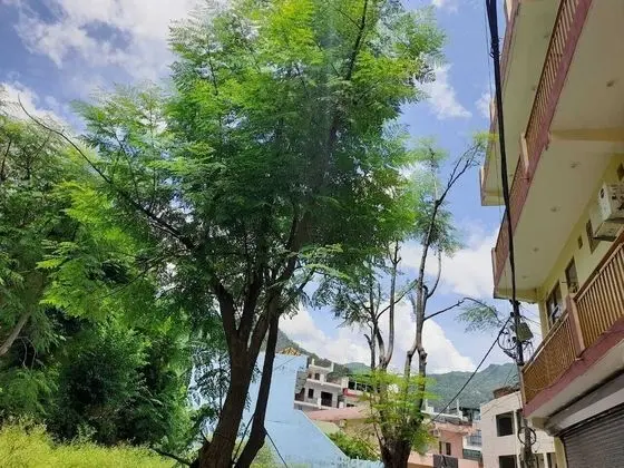 Hotel Krishna Rishikesh
