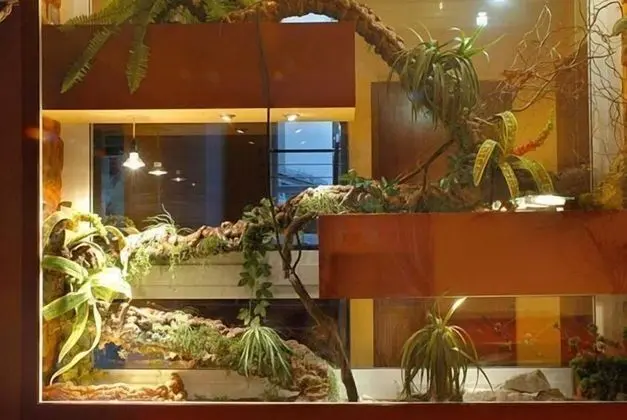 KRISTINA Willa & Spa - Dış Mekan