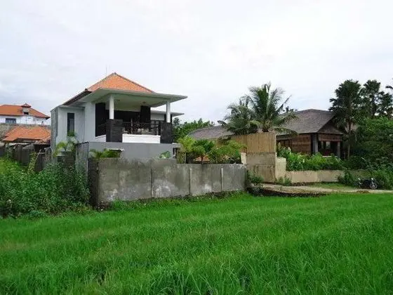 Kubu Manggala - Genel