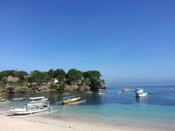 Kubu Tamu Homestay - Plaj