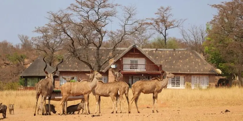Kudumela Bush Lodge