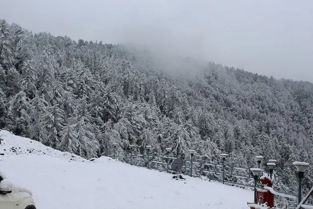Kufri Pacific Resort - Dış Mekan