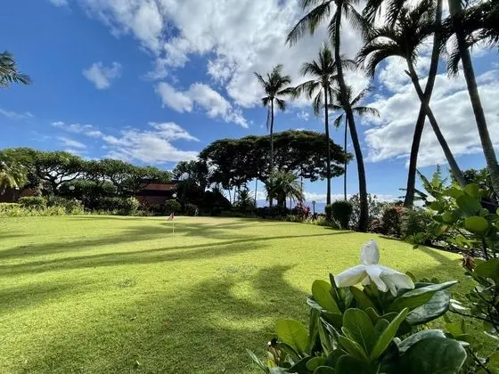 Kuleana 508