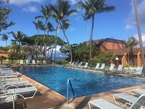 Kuleana Turtle Sanctuary Beach