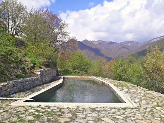 Kungut Hotel & Resort - Havuz