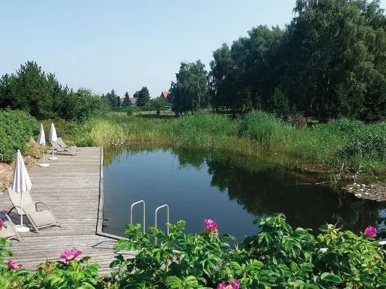 Kur- & Landhotel Borstel-Treff - Plaj