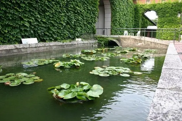 Kurashiki IVY Square