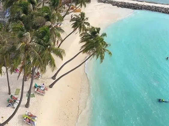 Kuredhi Beach Inn - Plaj