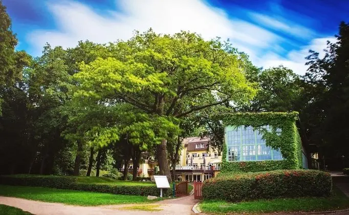 Kurhaus am Inselsee - Dış Mekan