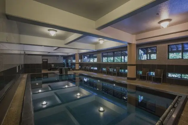 Kurokawa Onsen Okunoyu - Havuz