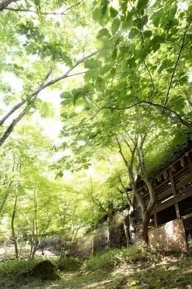 Kurokawa Onsen Yumerindo - Dış Mekan