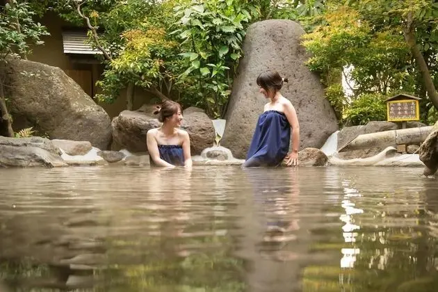 Kurokawa Onsen Yumerindo - Havuz