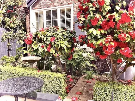 Kurrajong House Launceston - Oda Manzaraları
