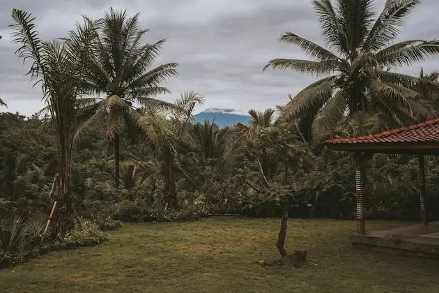 Kusfarm Bali