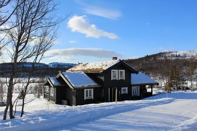 Kvitebjørn Cabin - Ål