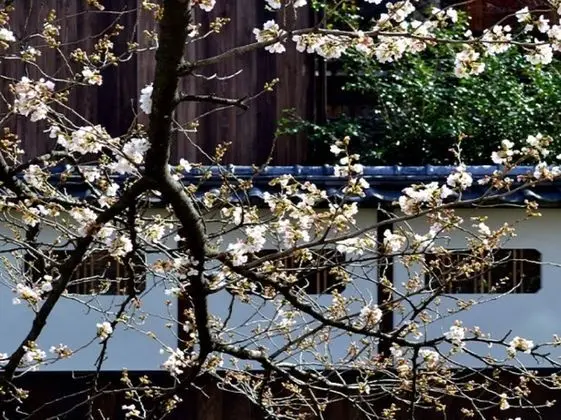 Kyoto Shirakawa Kiraku Inn - Hostel - Dış Mekan