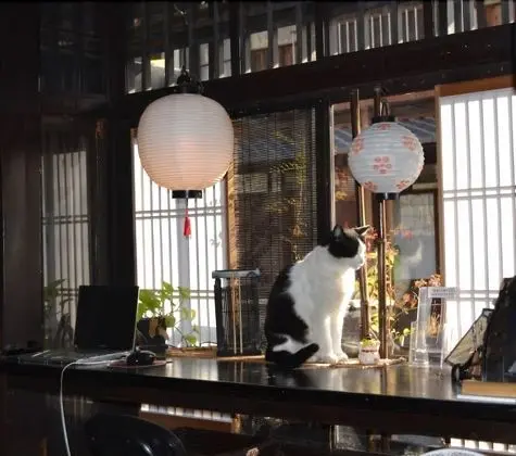 Kyoto Shirakawa Kiraku Inn - Hostel - Lobi