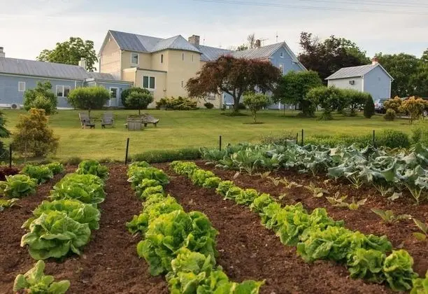 L Auberge Provencale Bed and Breakfast