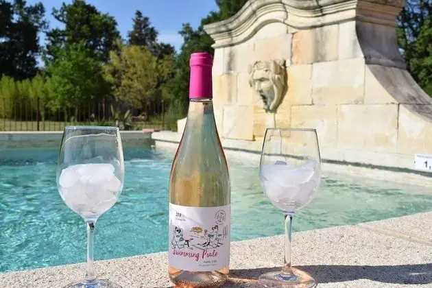 La Bastide des Amouriers - Havuz