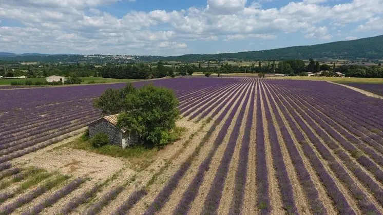 La Bastide des Bourguets - Dış Mekan