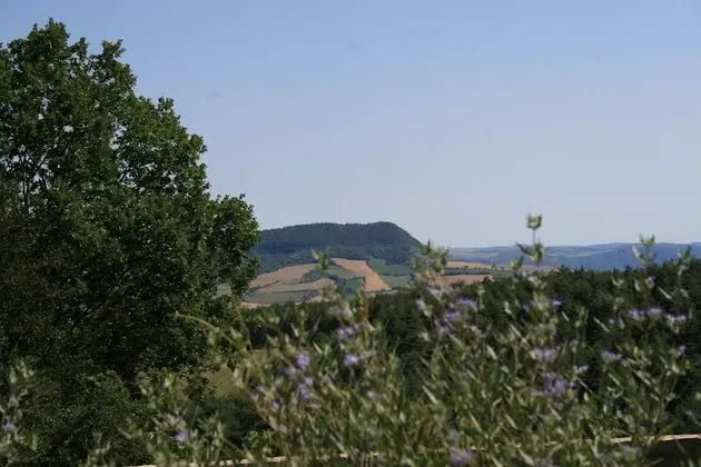 La Bergerie Baroque - 1
