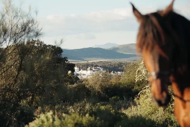 La Bobadilla, a Royal Hideaway Hotel - Öne Çıkan Resim