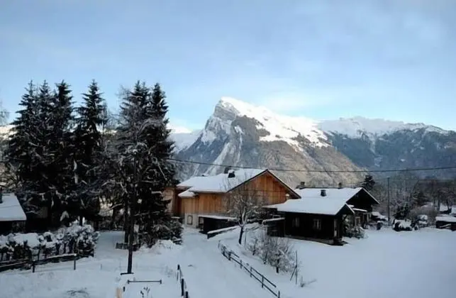 La Boule de Neige