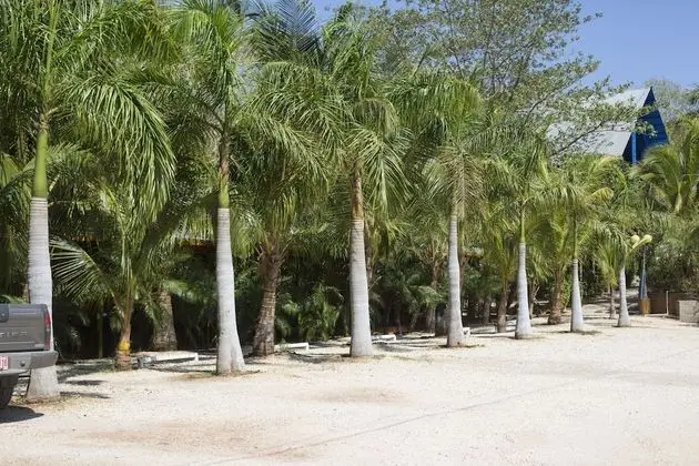 La Boya Hotel y Parque Acuático - Plaj