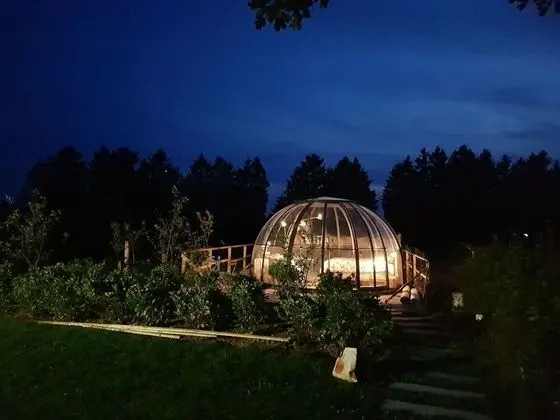 La bulle au bois dormant d'ovifat