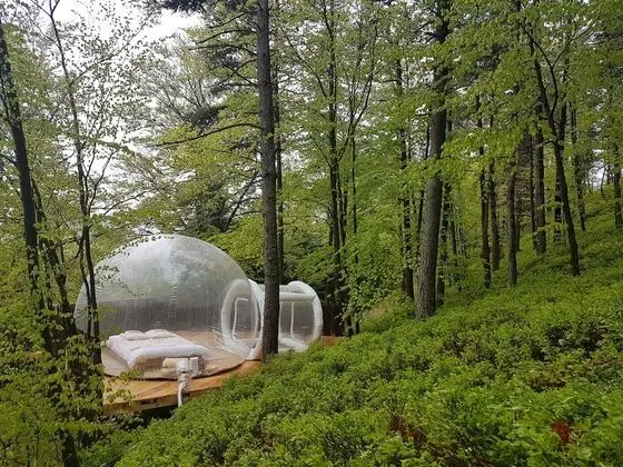 La bulle transparente - La Myrtille