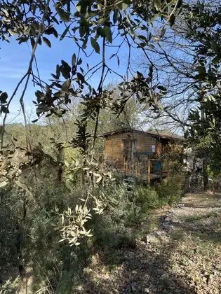 La Cabane Des Amoureux - Dış Mekan
