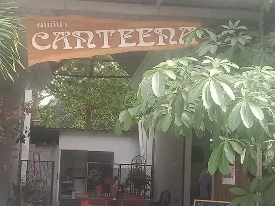 La Canteena - Dış Mekan