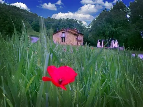 La Cartiera dei Benandanti - 1