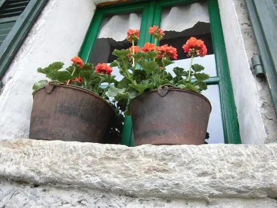 La Casa Antica - Dış Mekan