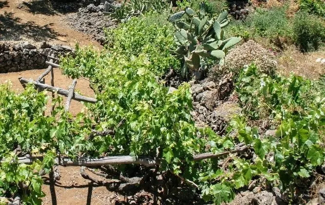 La Casa de la Abuela Leonor en El Hierro - Dış Mekan