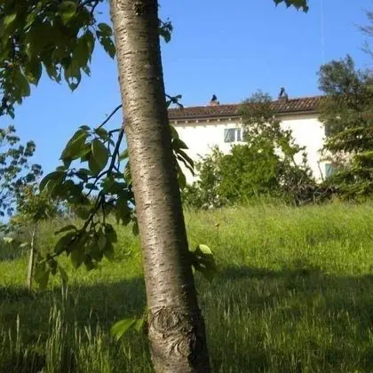 La Casa Dicuccaro - Dış Mekan