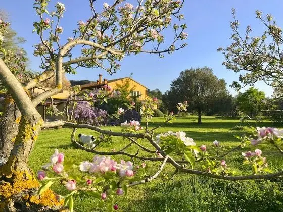 La Casa Toscana - Apt Castello 7 km by the sea - Dış Mekan