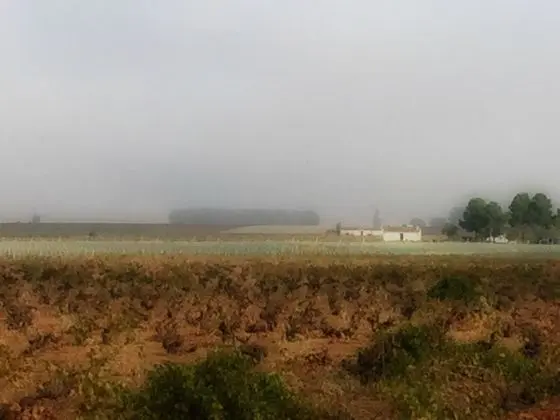 La Caseja - 1