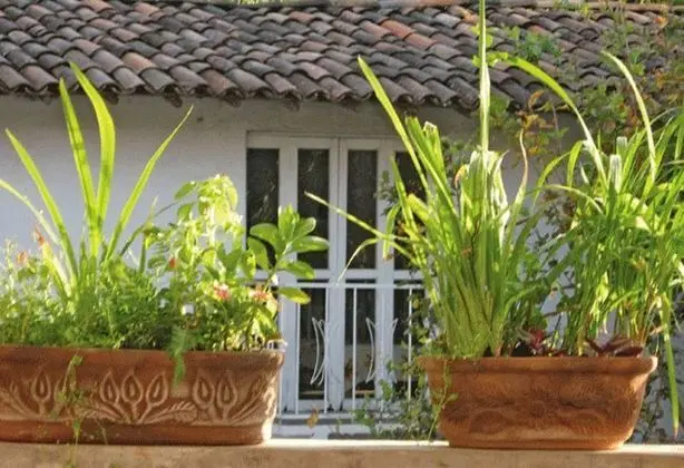 Hotel La Casona Breakfast & Wellness Center - Dış Mekan