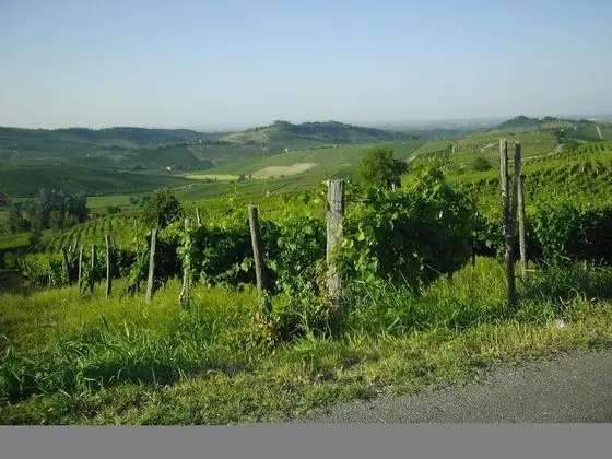 La Chicca